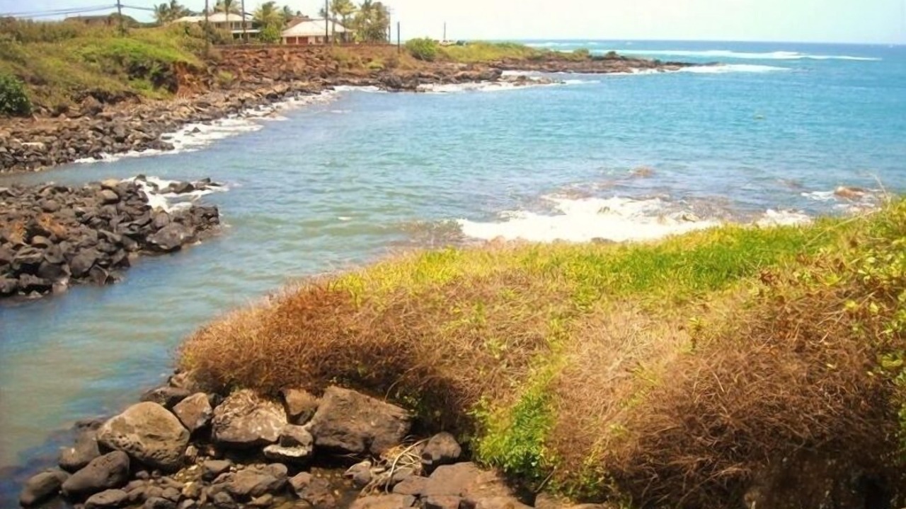 Photo of Others in Poipu