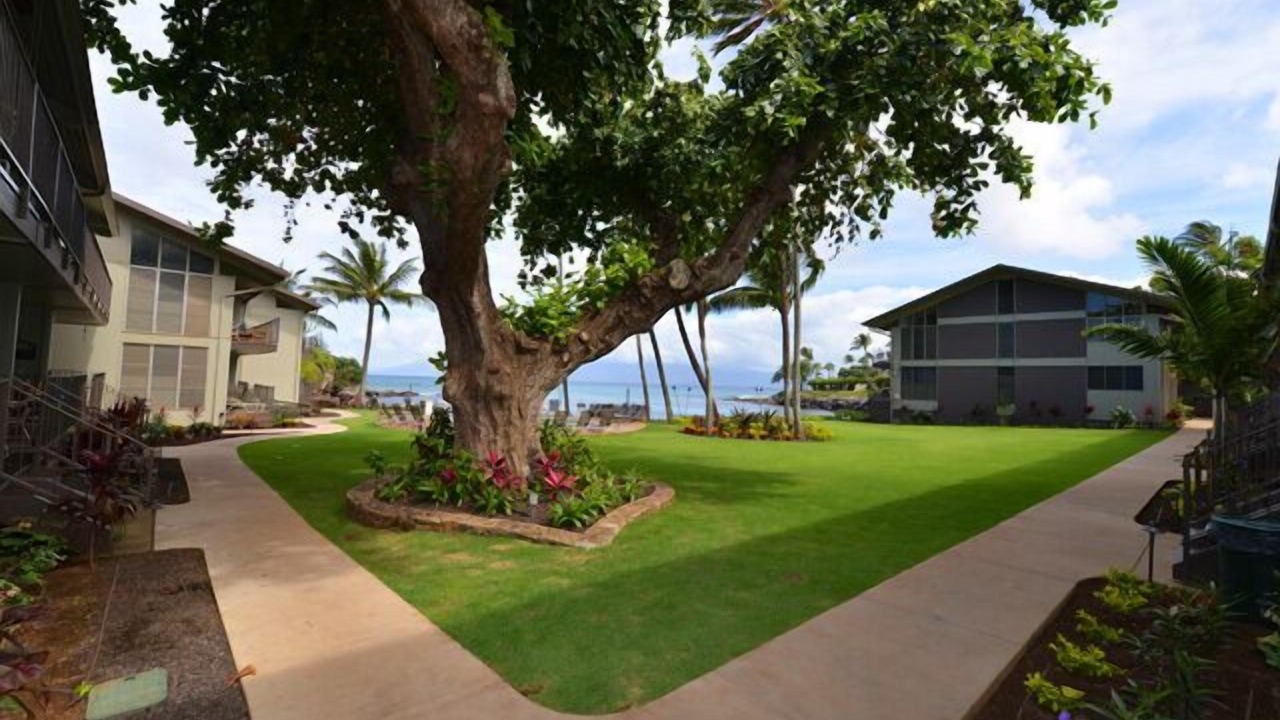 Photo of Outdoor in Napili