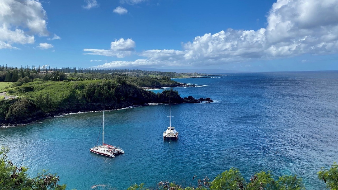 Photo of Others in Napili