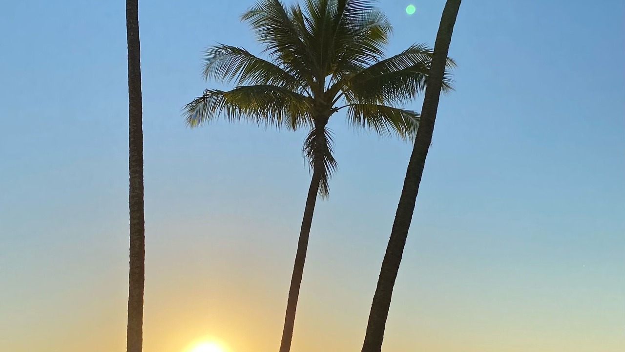 Photo of Others in Wailua