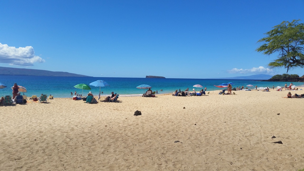 Photo of Others in Kihei