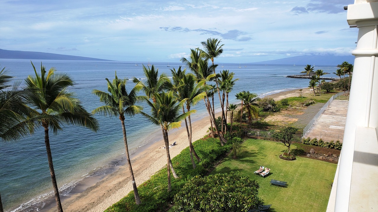 Photo of Others in Historic Lahaina Front Street