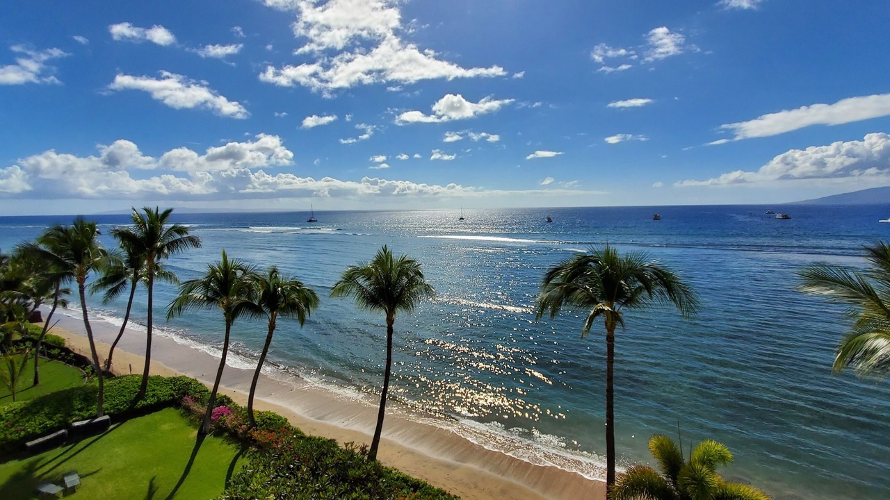 Photo of Others in Historic Lahaina Front Street