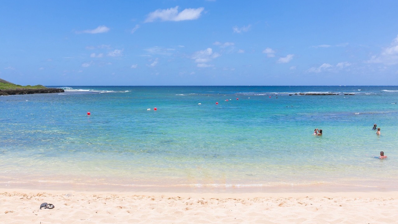 Photo of Others in Kahuku
