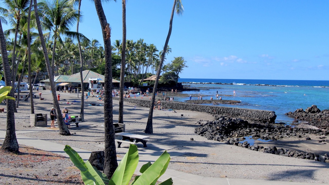 Photo of Others in Kahaluu Bay