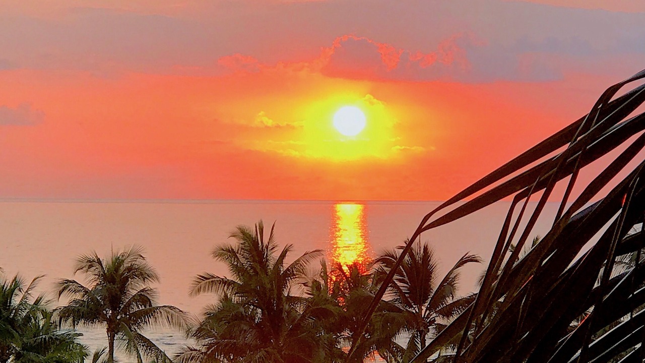 Photo of Others in Kahaluu Bay