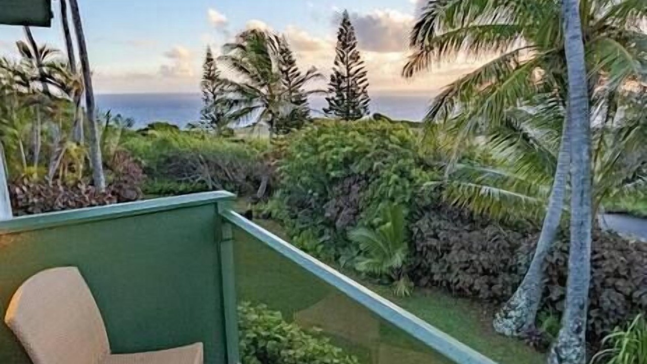 Photo of Outdoor in Haiku