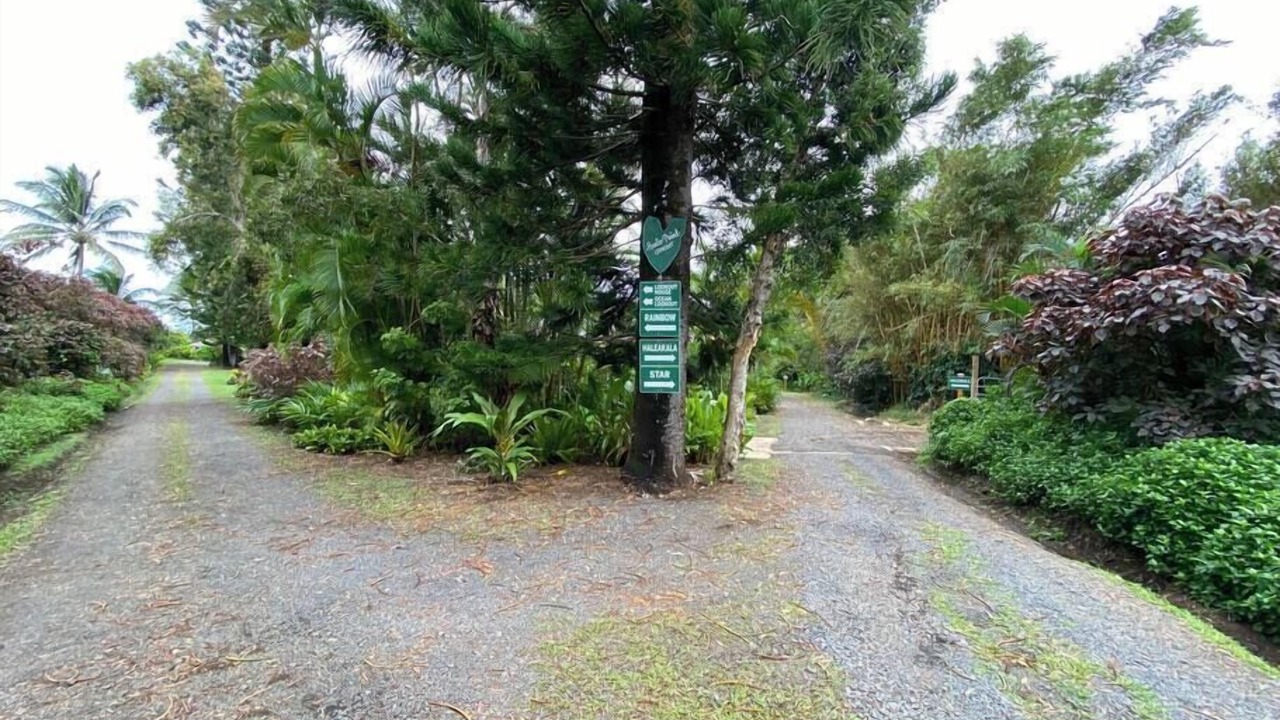 Photo of Outdoor in Haiku