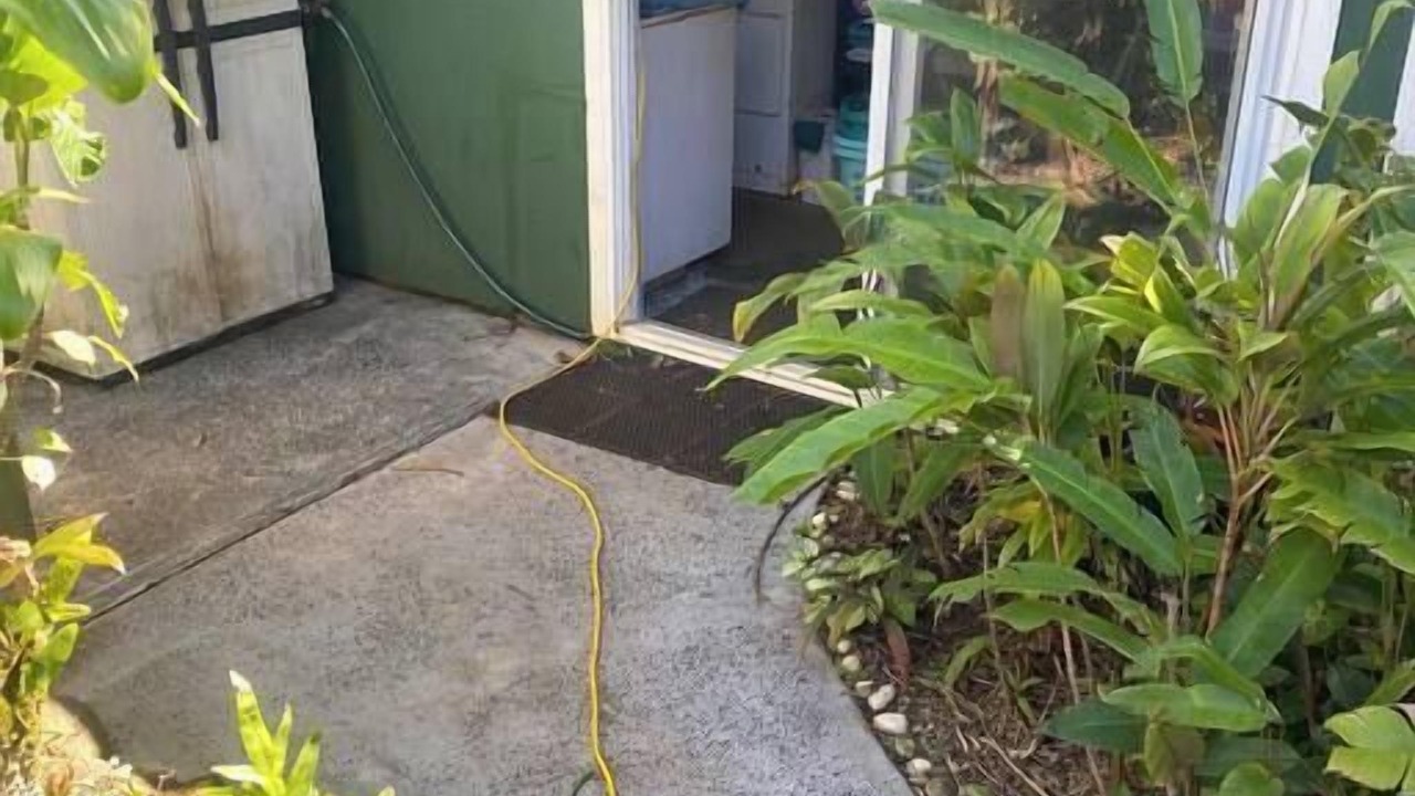 Photo of Outdoor in Haiku