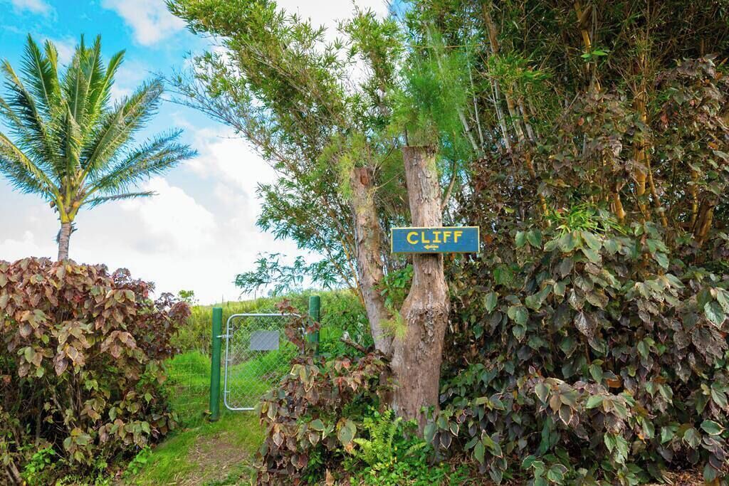 Photo of Outdoor in Haiku