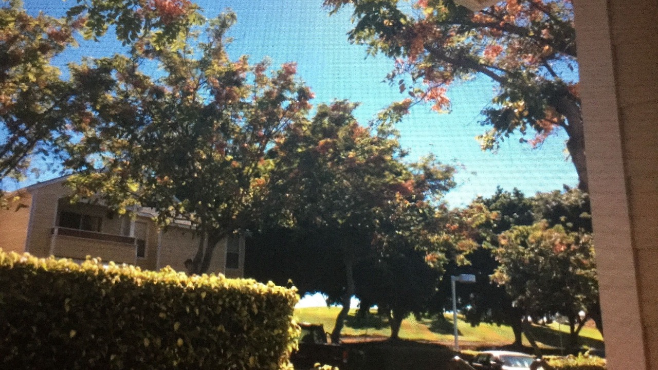 Photo of Others in Waikoloa Village