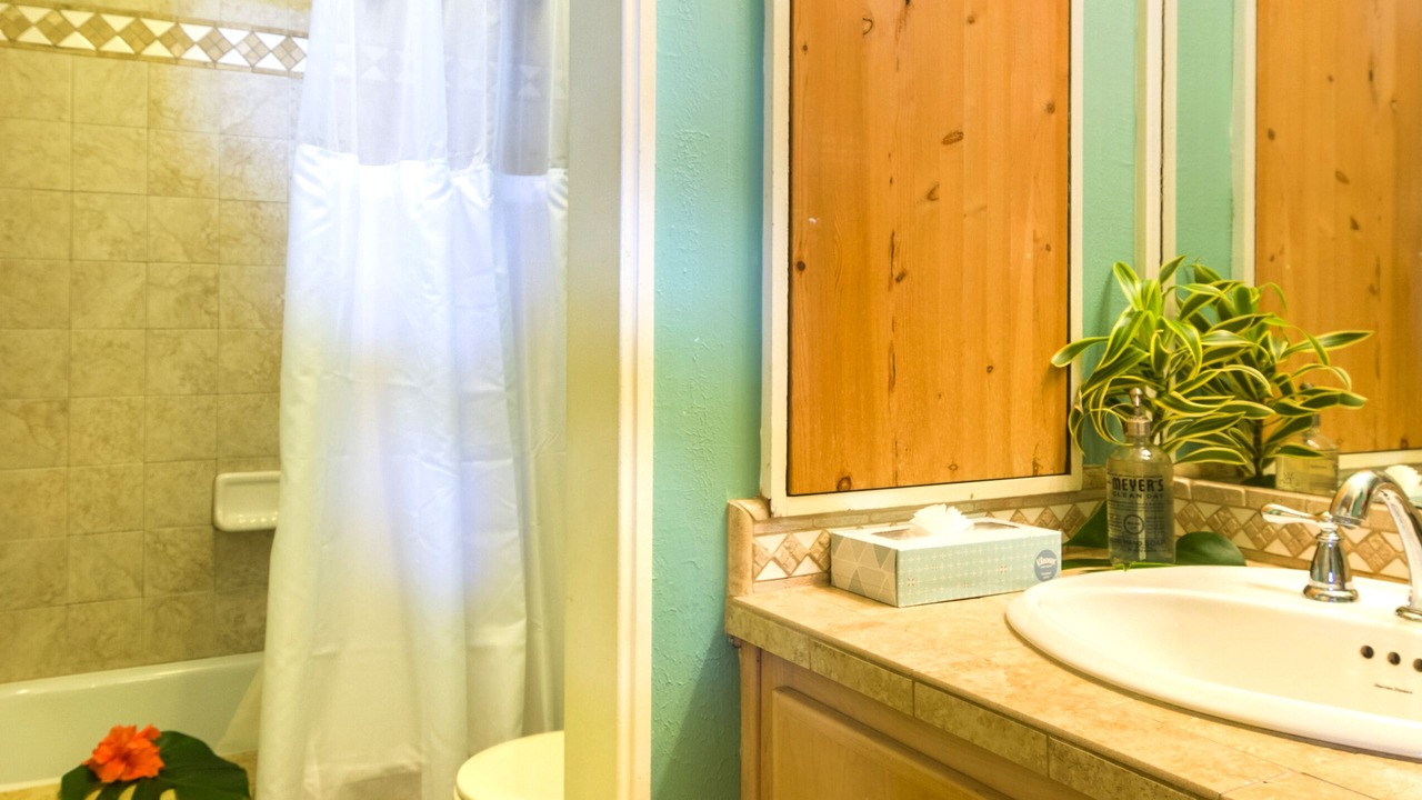 Photo of Bathroom in Hana