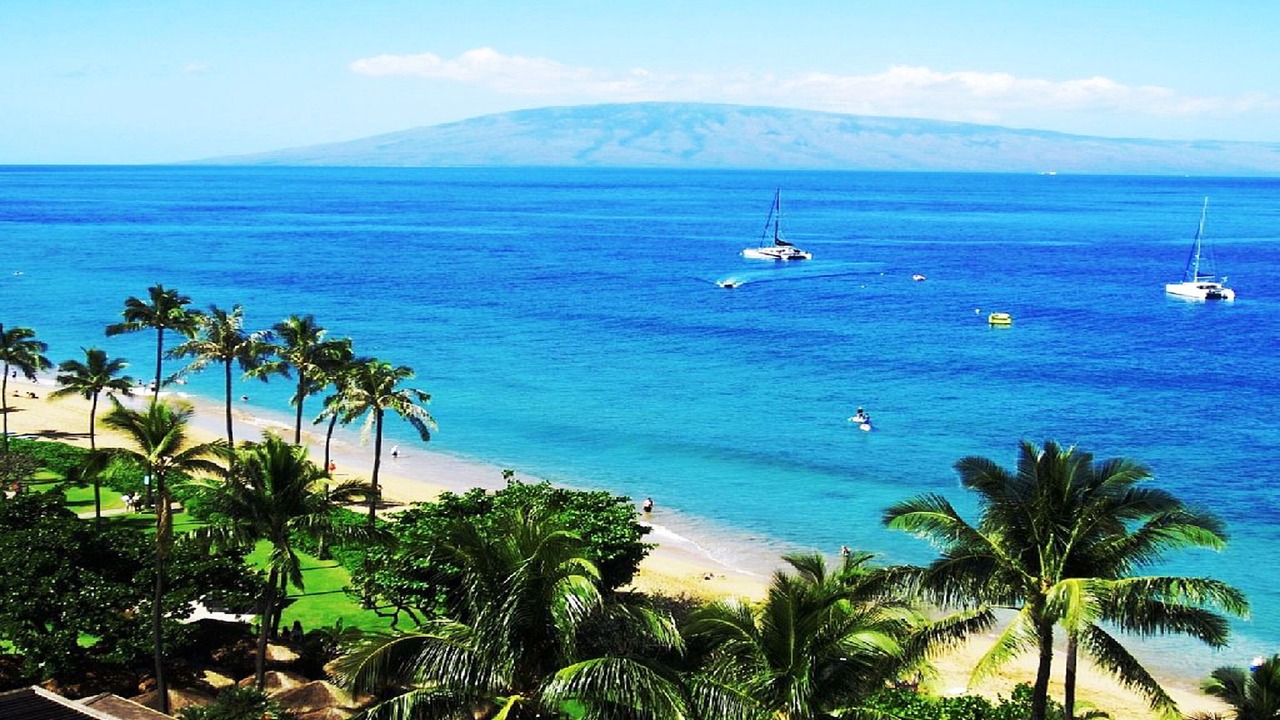 Photo of Others in Kaanapali