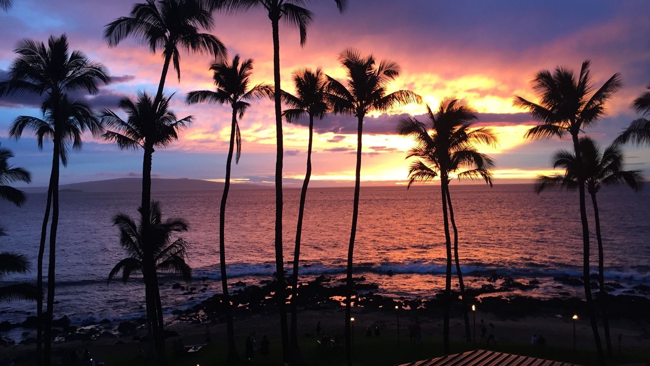 Photo of Others in Kihei