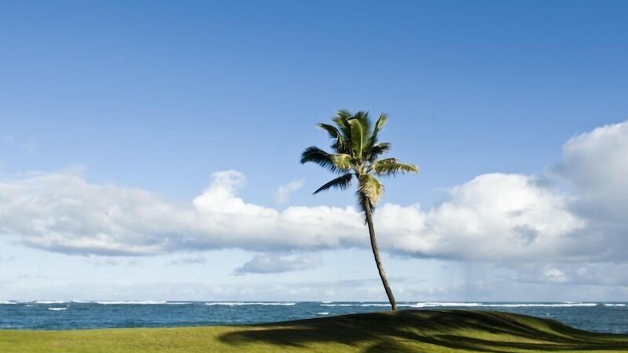 Photo of Others in Kahului