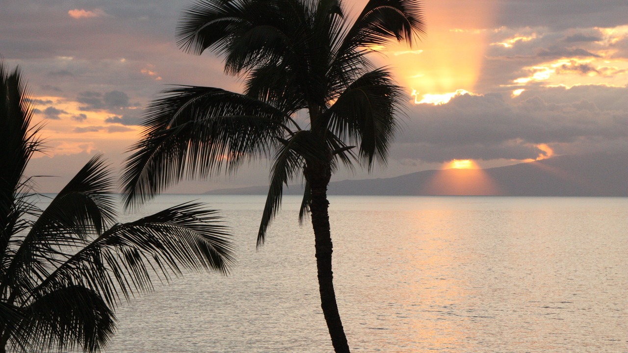 Photo of Others in Wailea