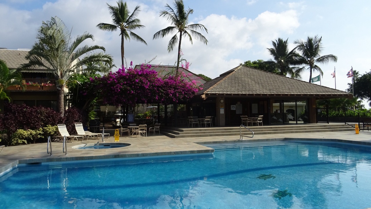 Photo of Outdoor in Kihei