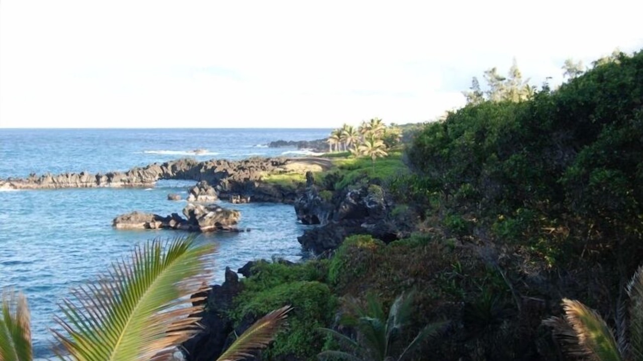 Photo of Others in Kihei