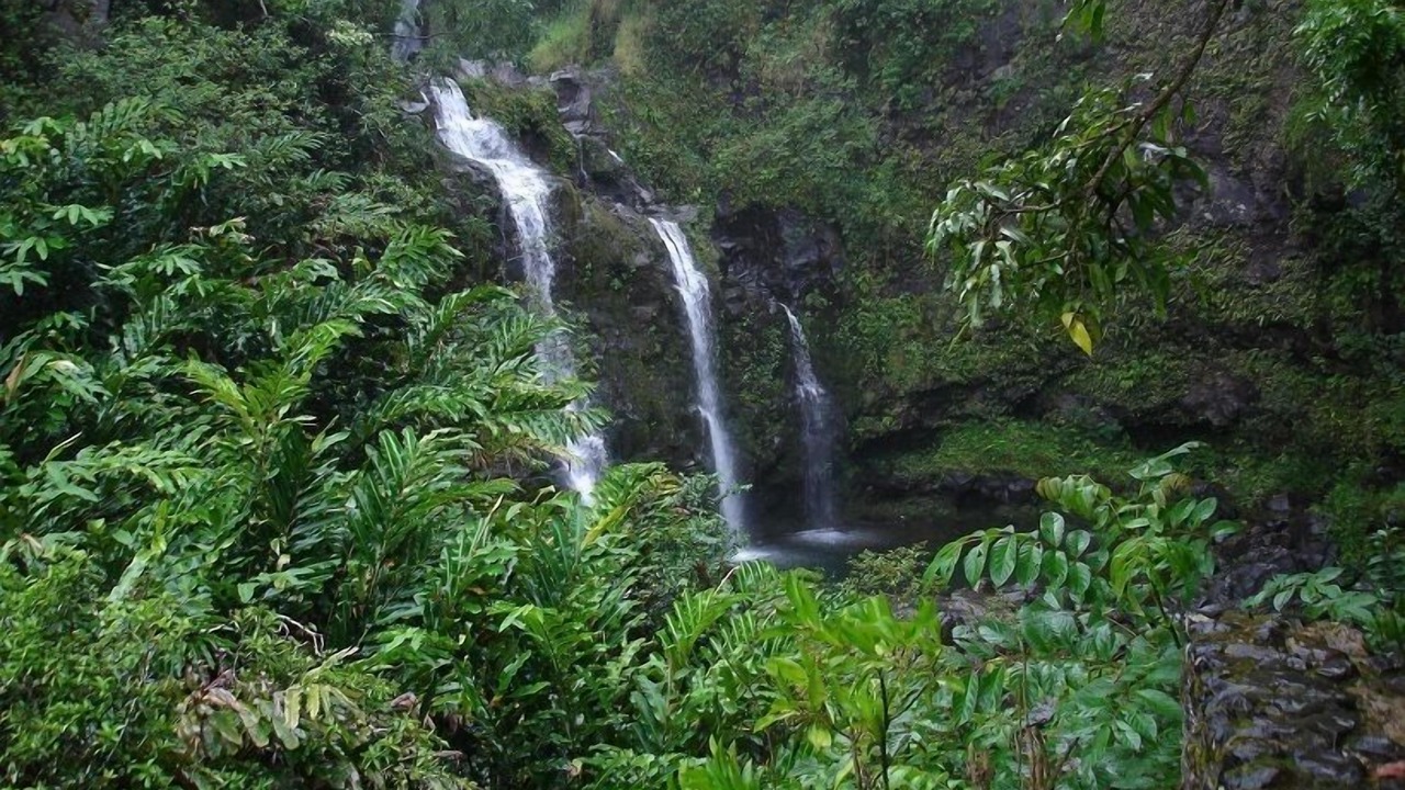 Photo of Others in Wailea