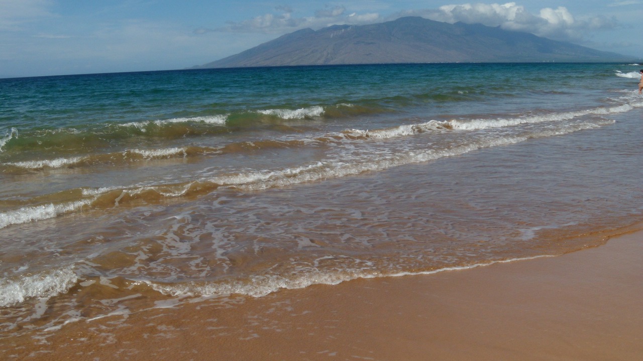 Photo of Others in Wailea