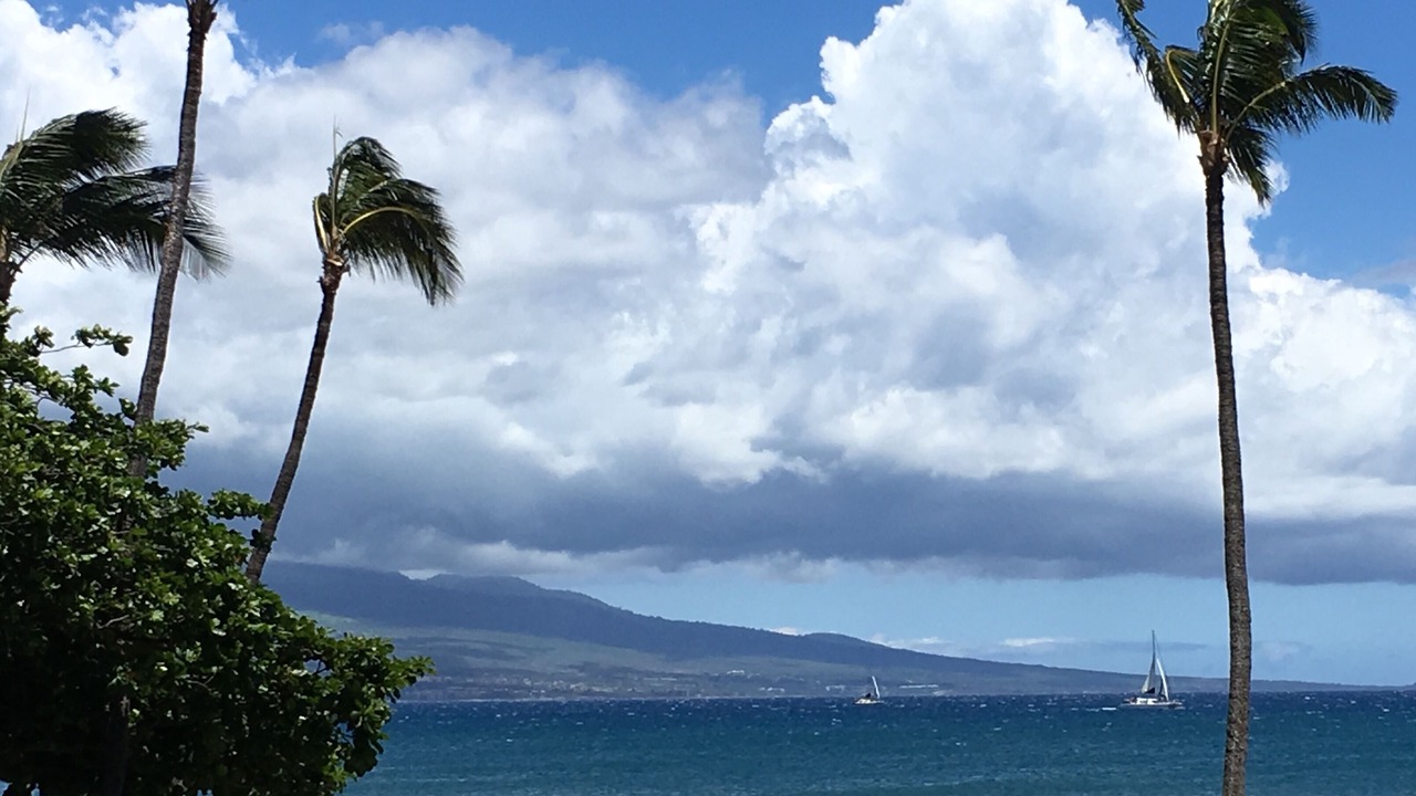Photo of Others in Maalaea
