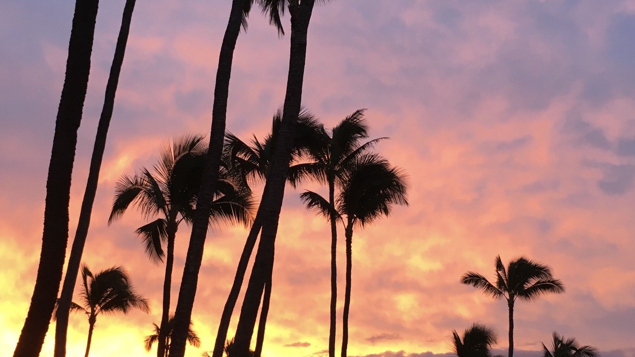 Photo of Others in Maalaea