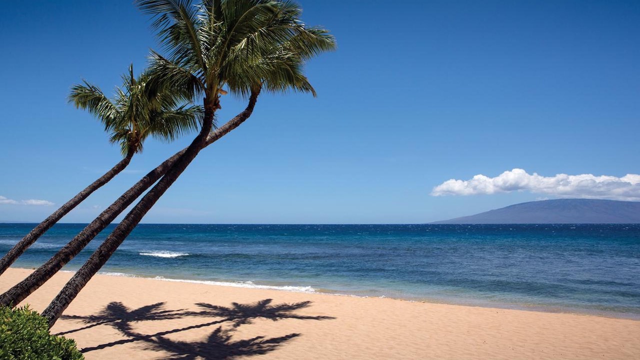 Photo of Others in Kaanapali