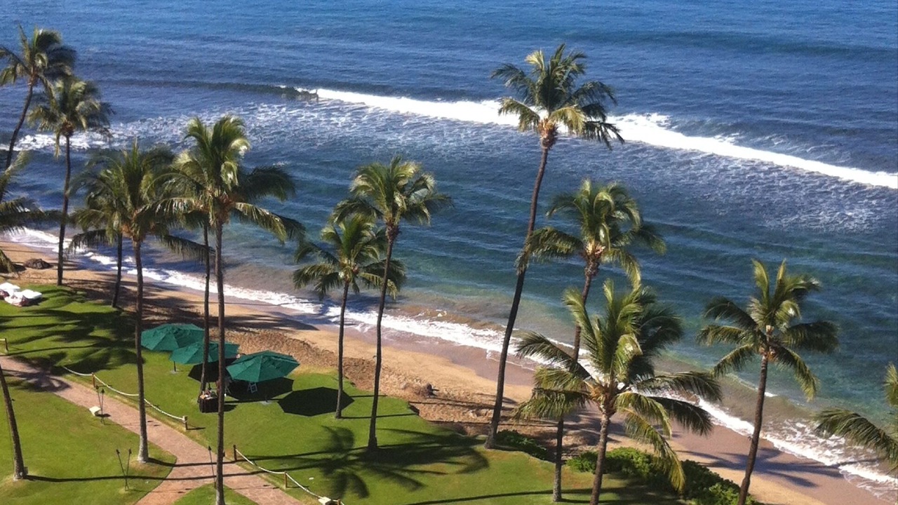 Photo of Others in Kaanapali
