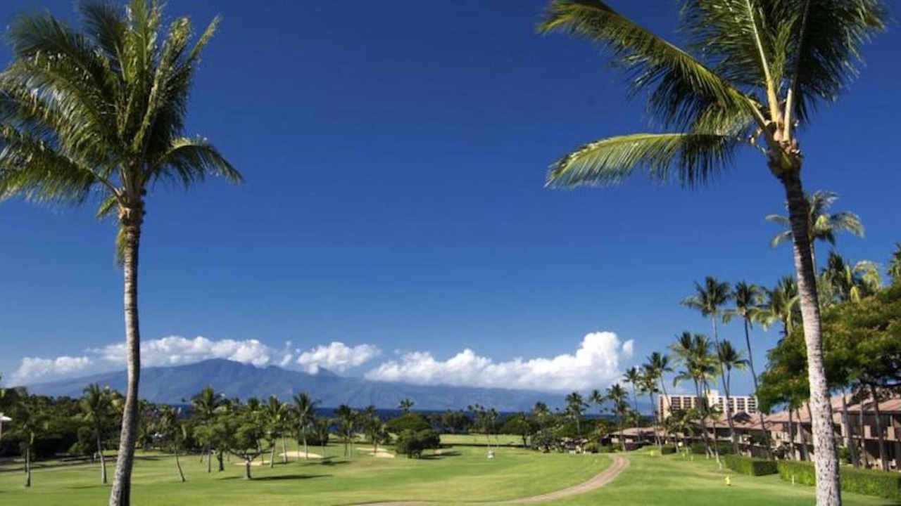 Photo of Others in Kaanapali