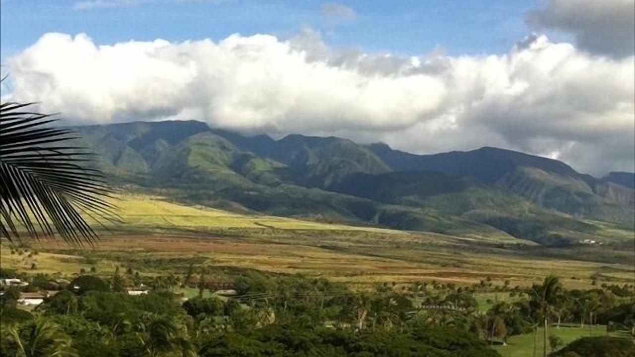 Photo of Others in Kaanapali