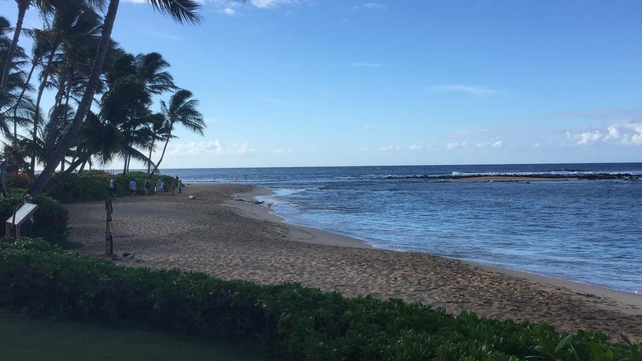 Photo of Others in Poipu