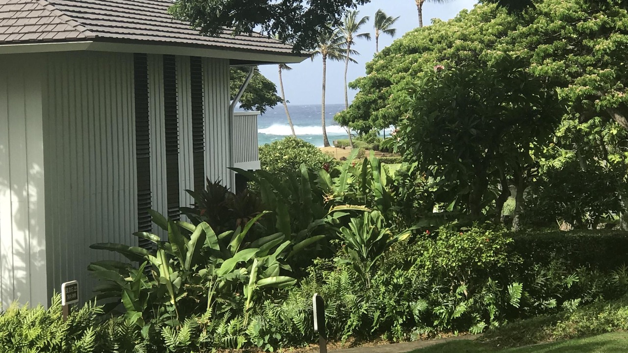 Photo of Outdoor in Poipu