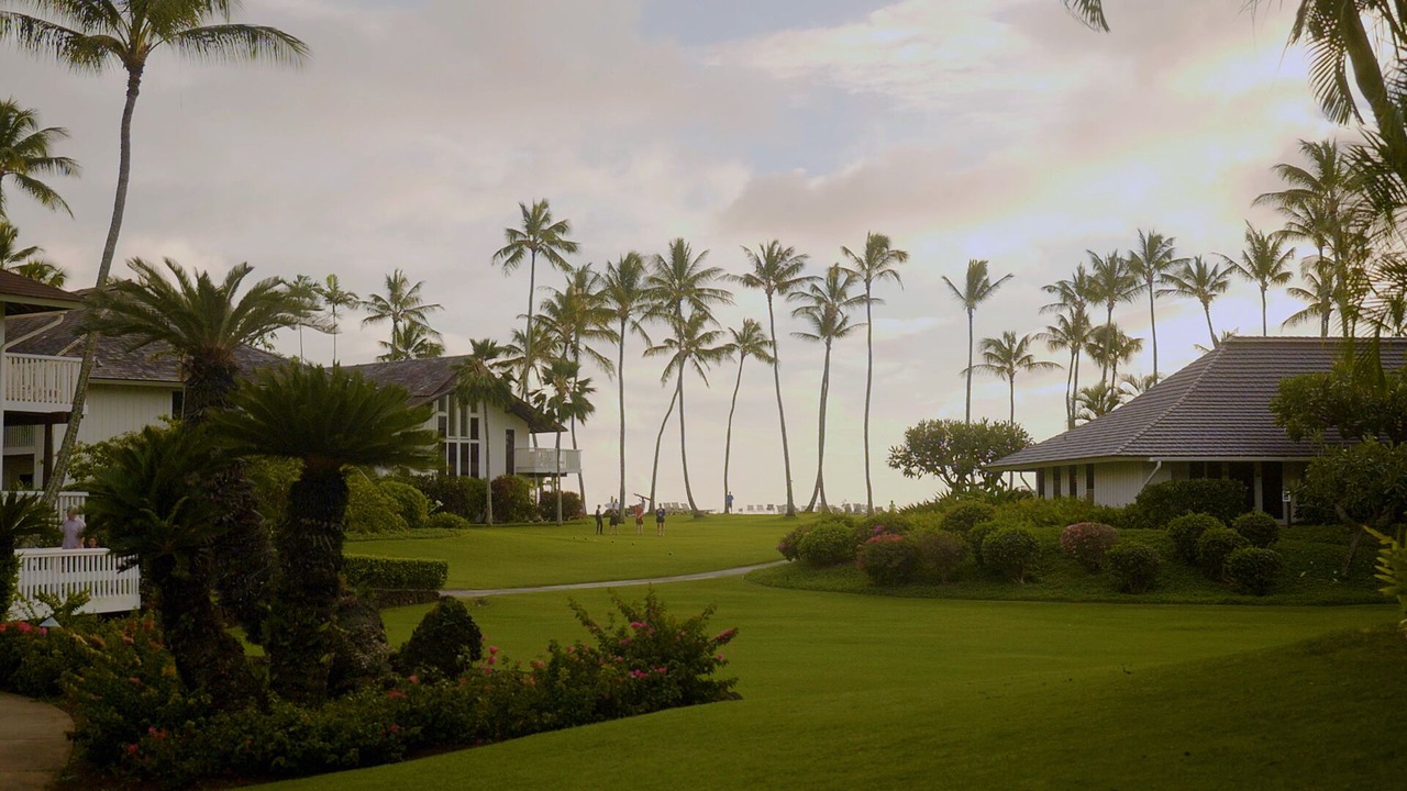 Photo of Outdoor in Poipu