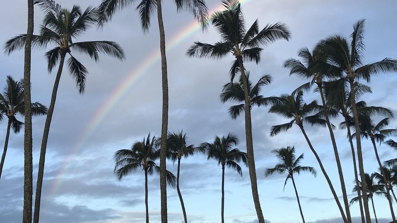 Photo of Others in Poipu