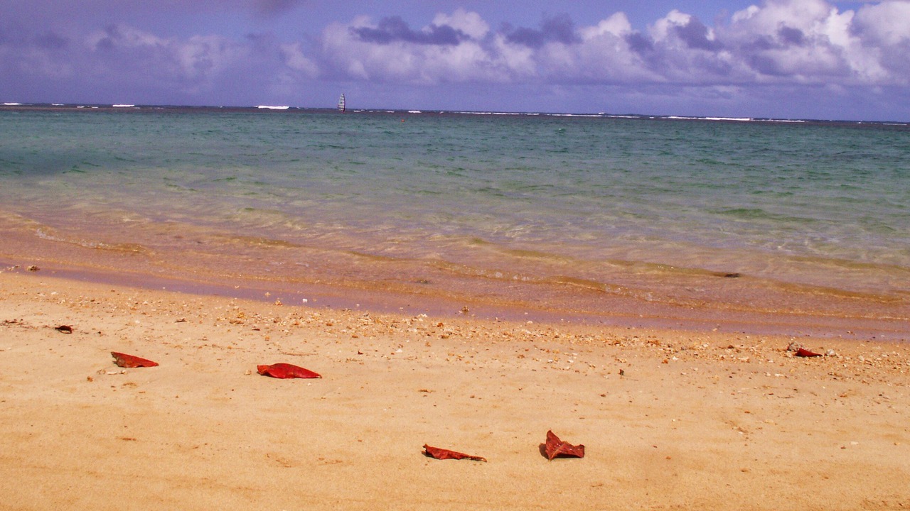 Photo of Others in Princeville