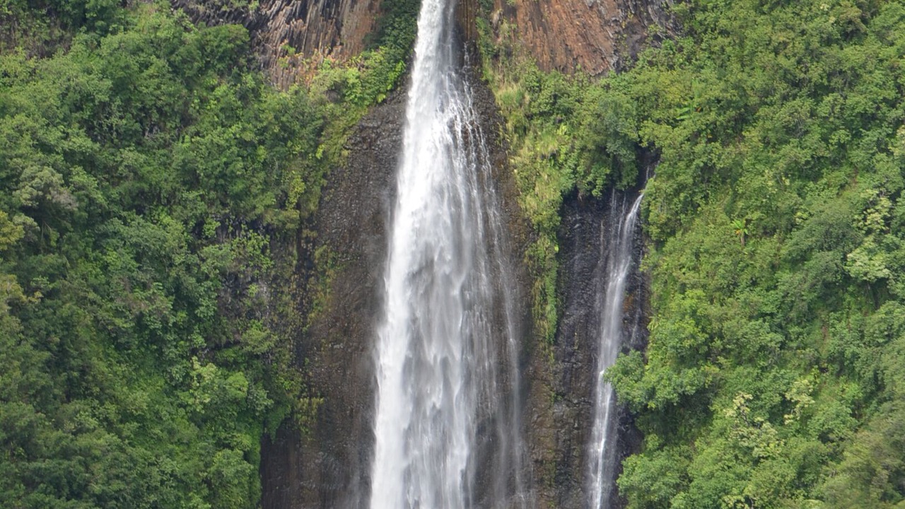 Photo of Others in Princeville