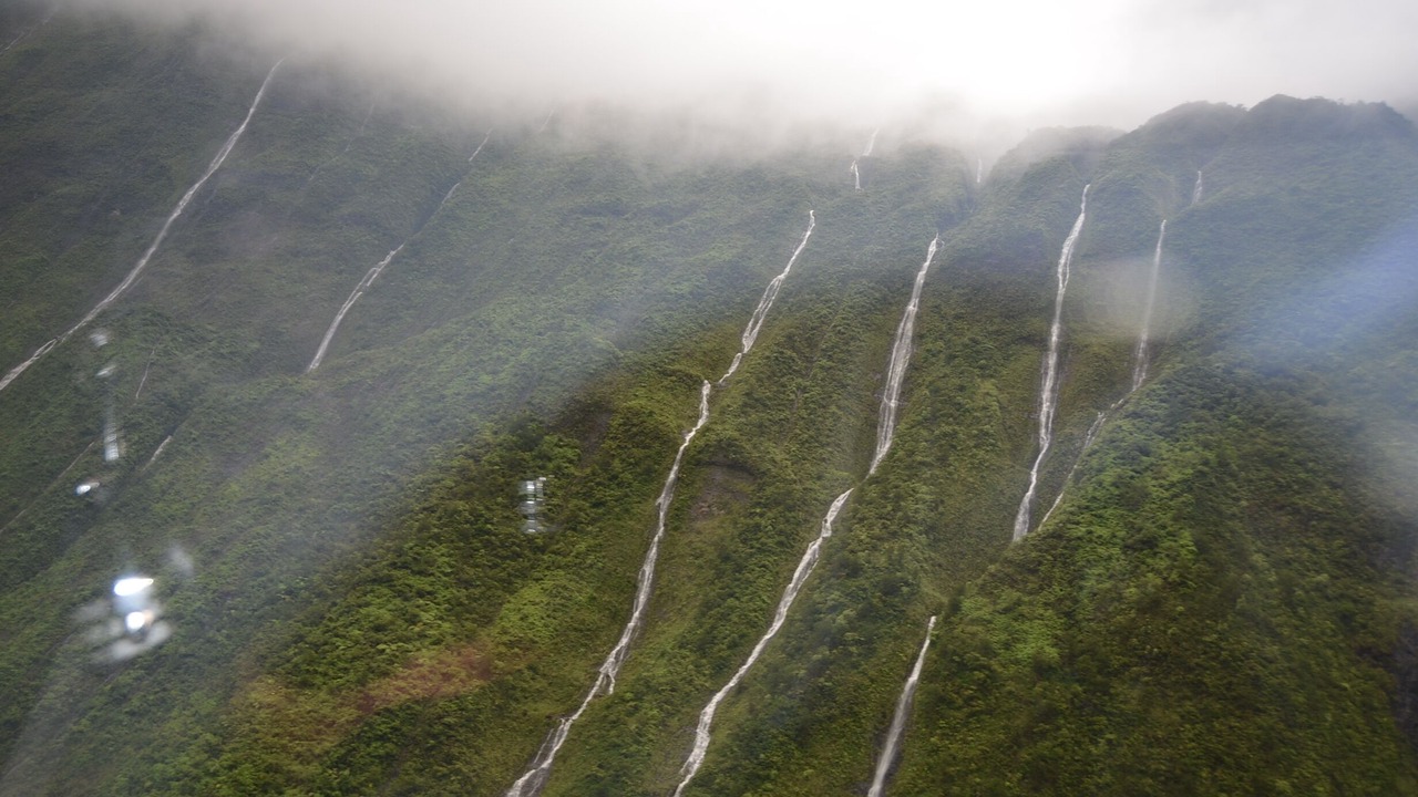 Photo of Others in Princeville
