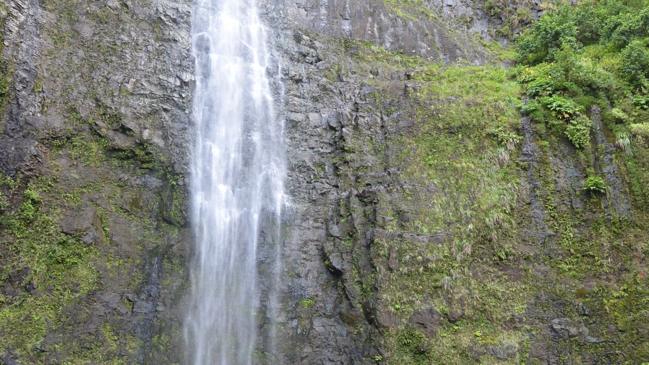 Photo of Others in Princeville