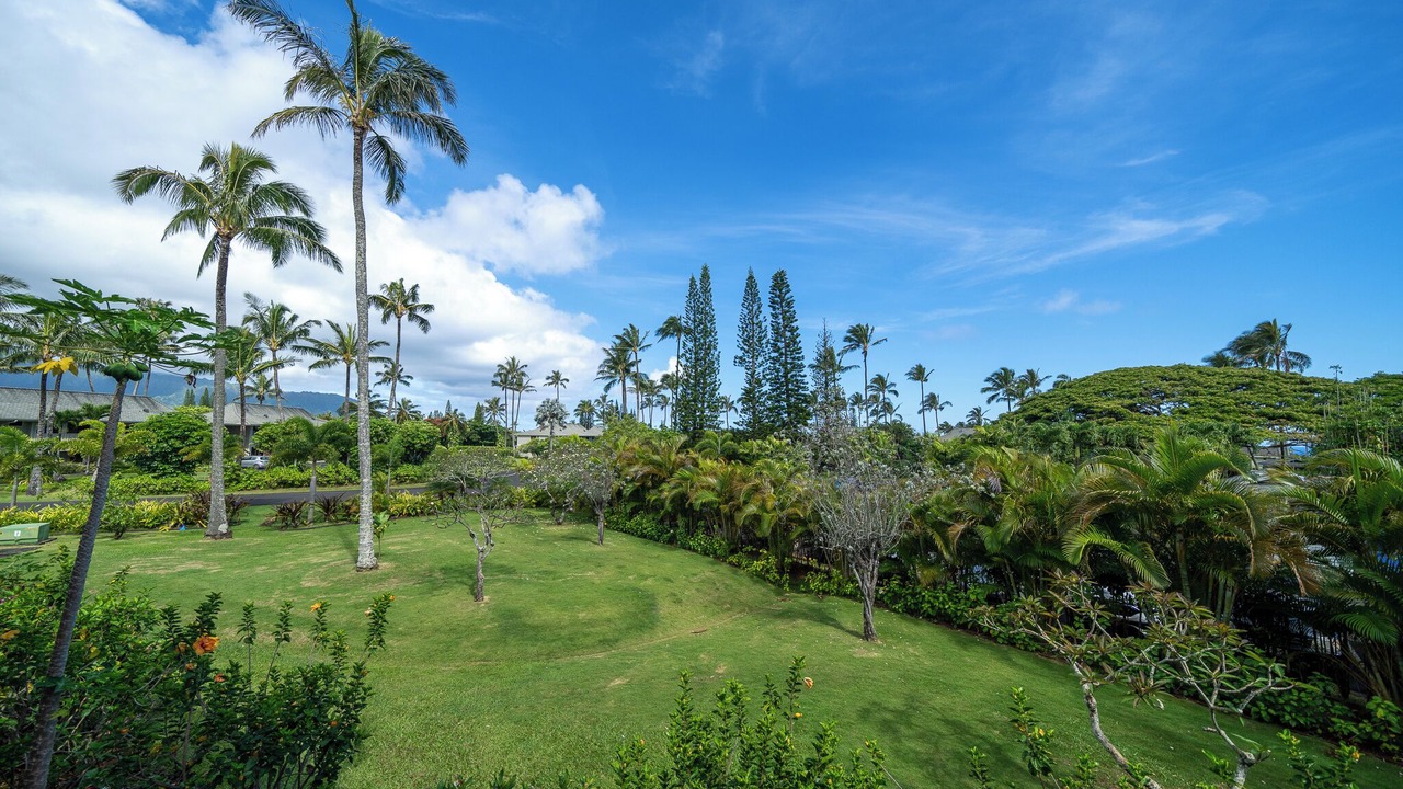 Photo of Others in Princeville