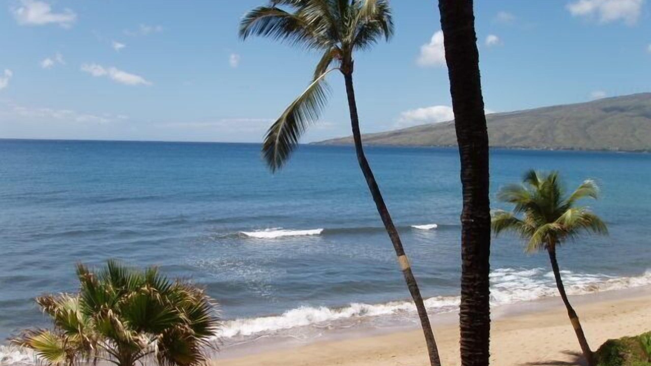 Photo of Others in Kihei