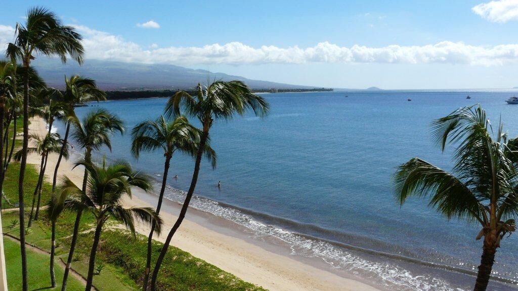 Photo of Others in Kihei