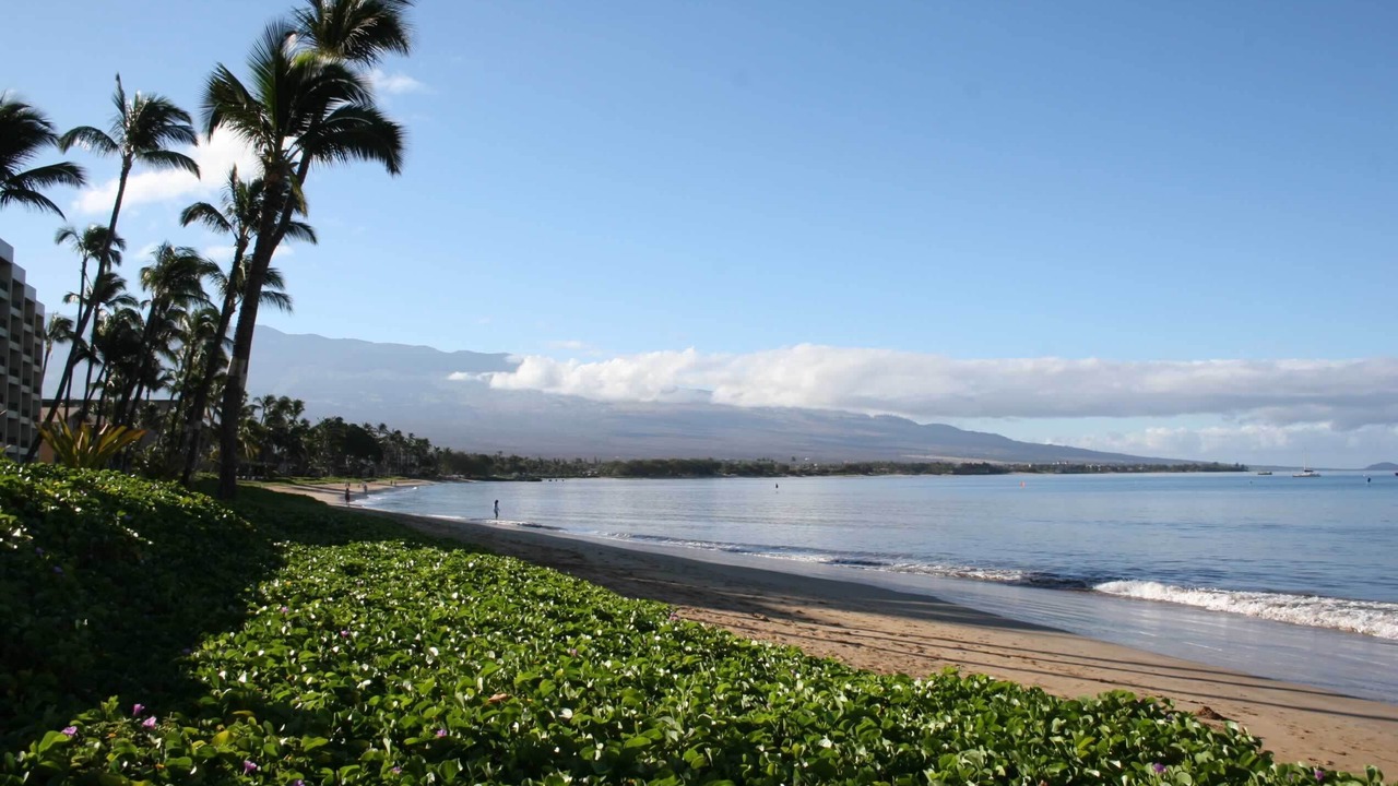 Photo of Others in Kihei