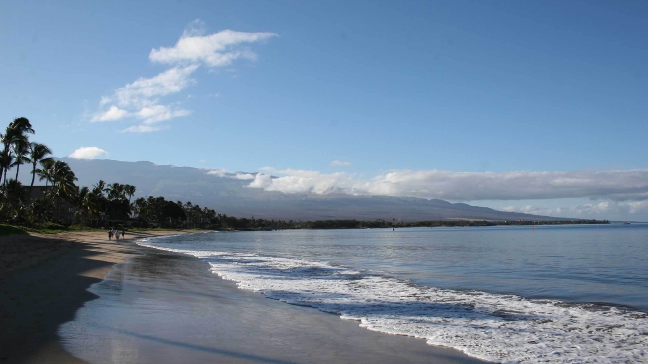 Photo of Others in Kihei
