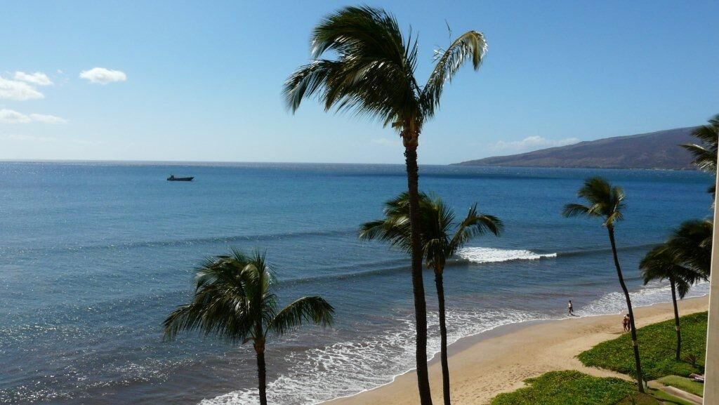 Photo of Others in Kihei