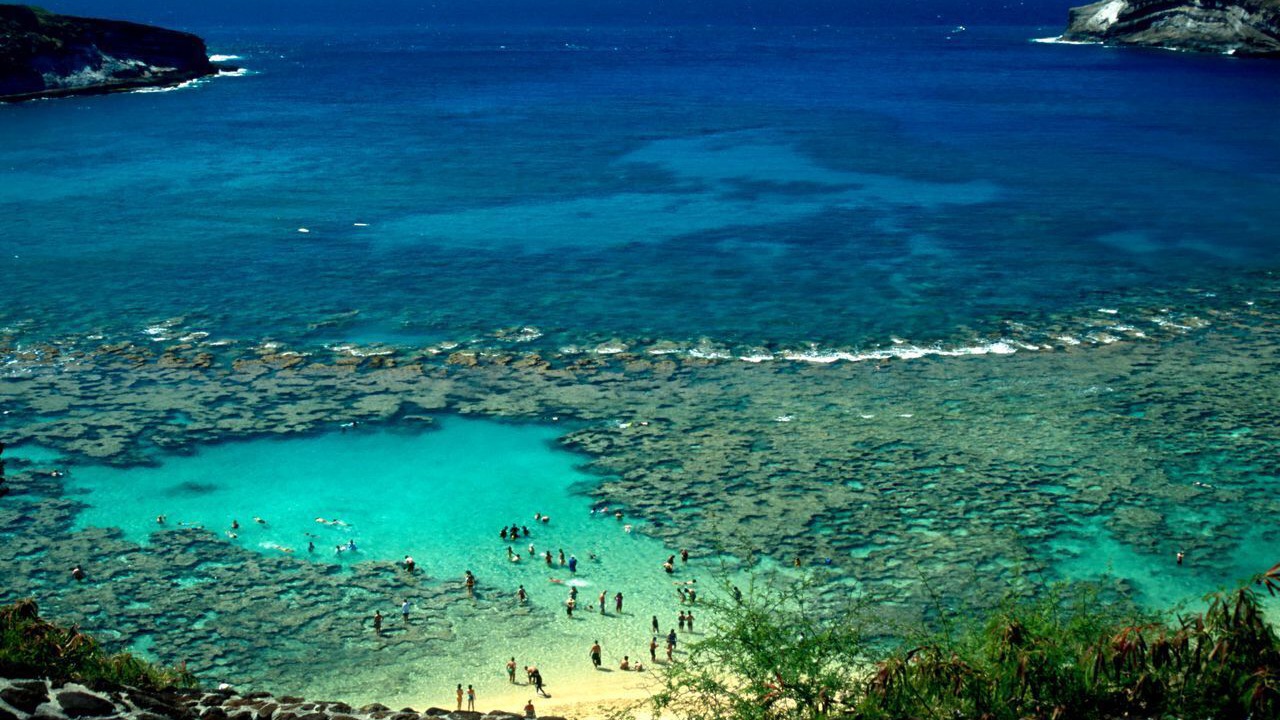 Photo of Others in Ko Olina