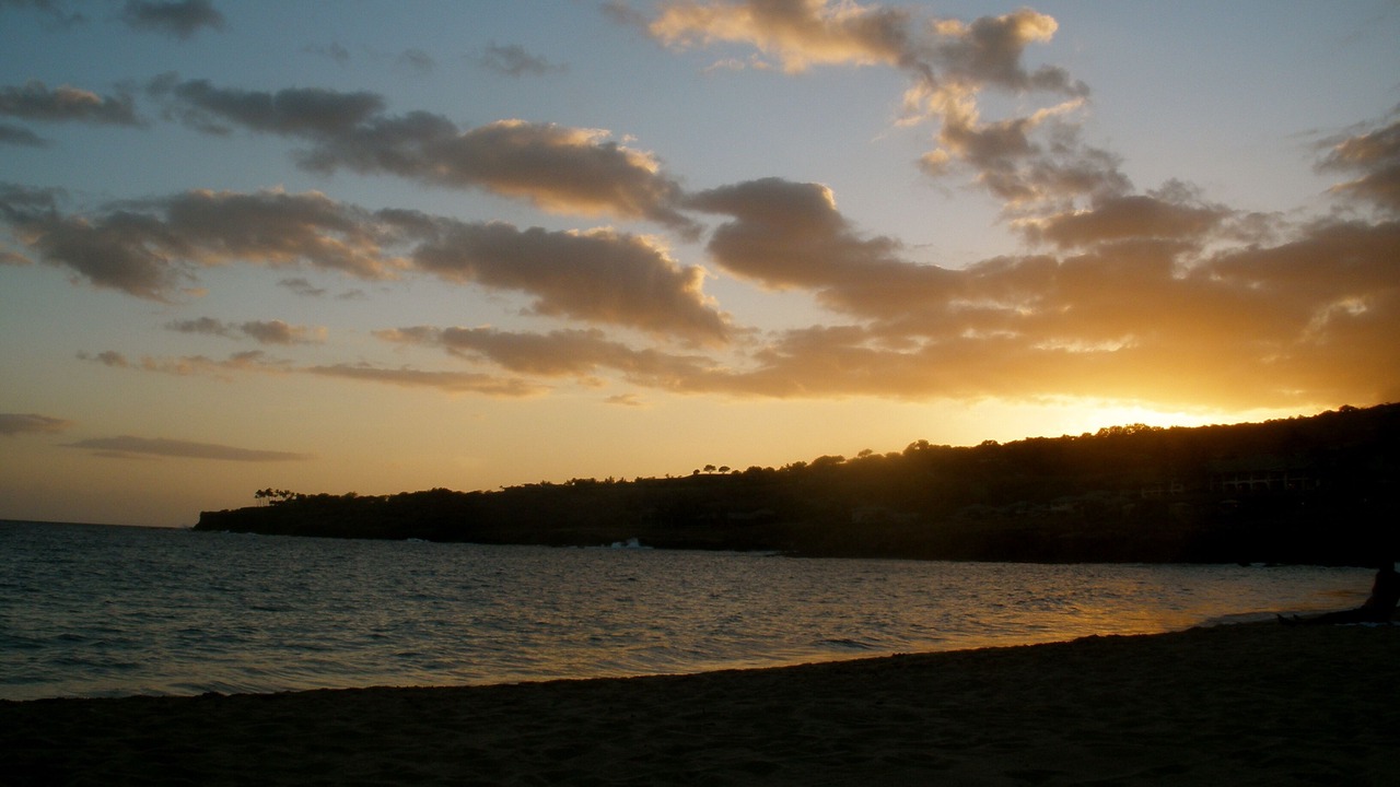 Photo of Others in Lanai City