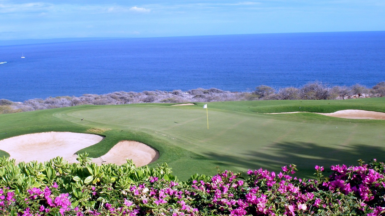 Photo of Others in Lanai City