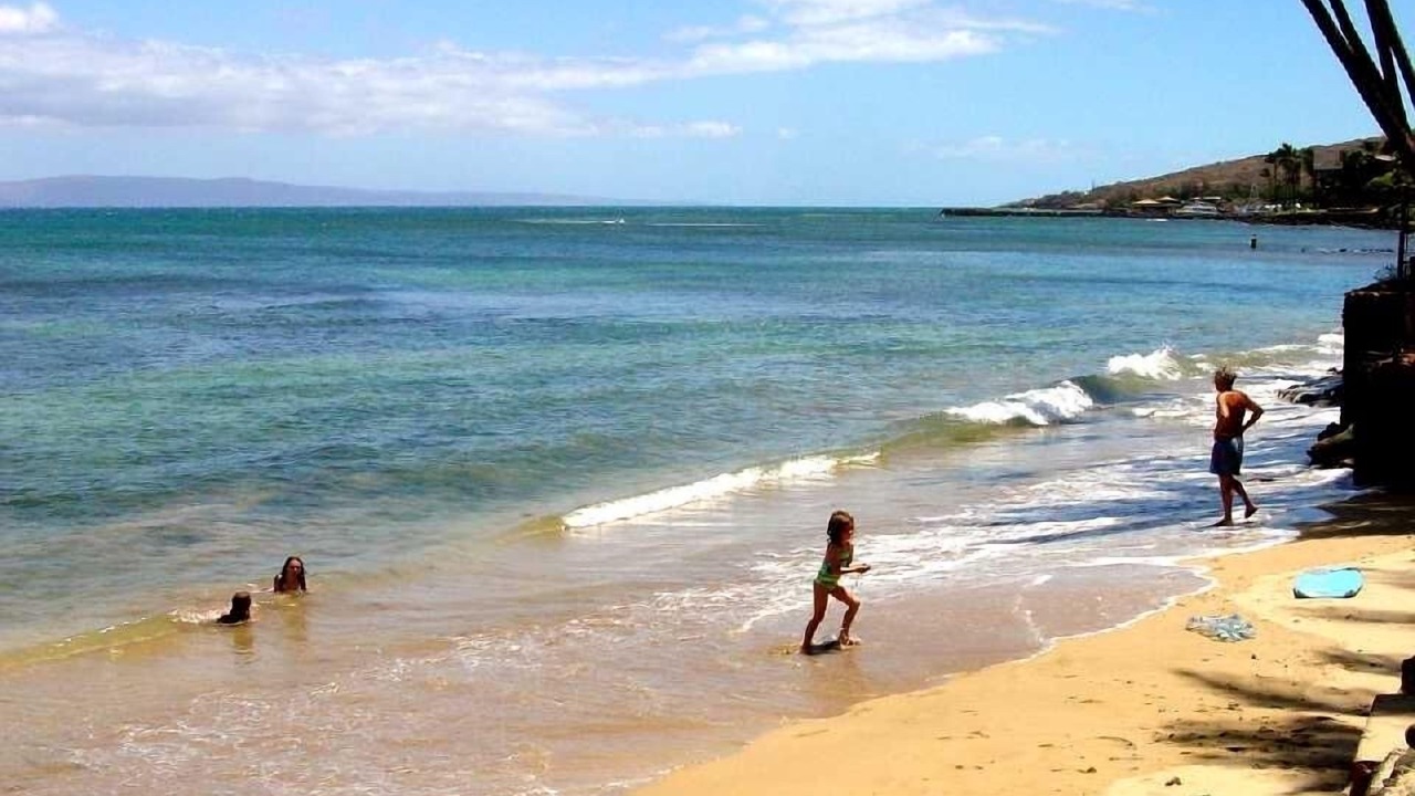 Photo of Others in Maalaea