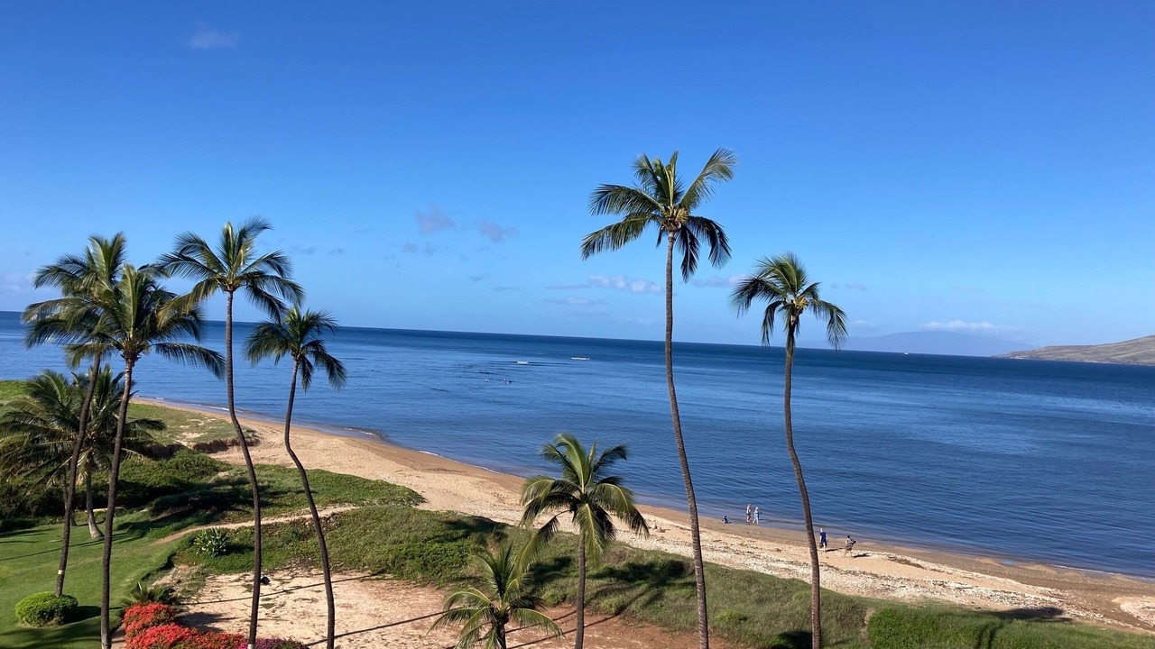 Photo of Others in Kihei