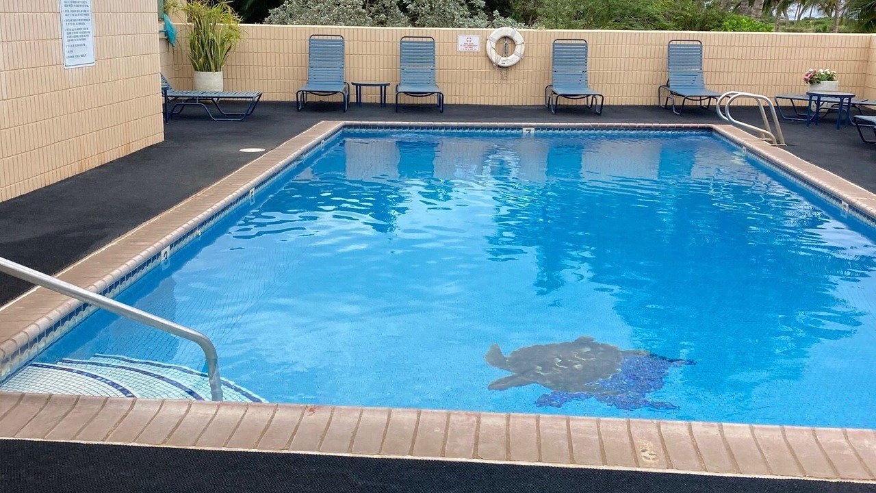 Photo of Outdoor in Kihei